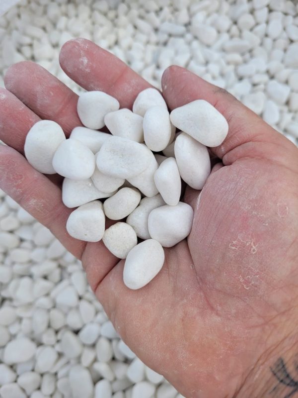 galet blanc pur 12/24