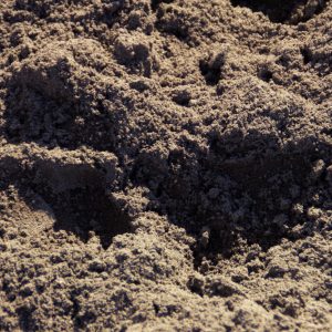 terre criblé